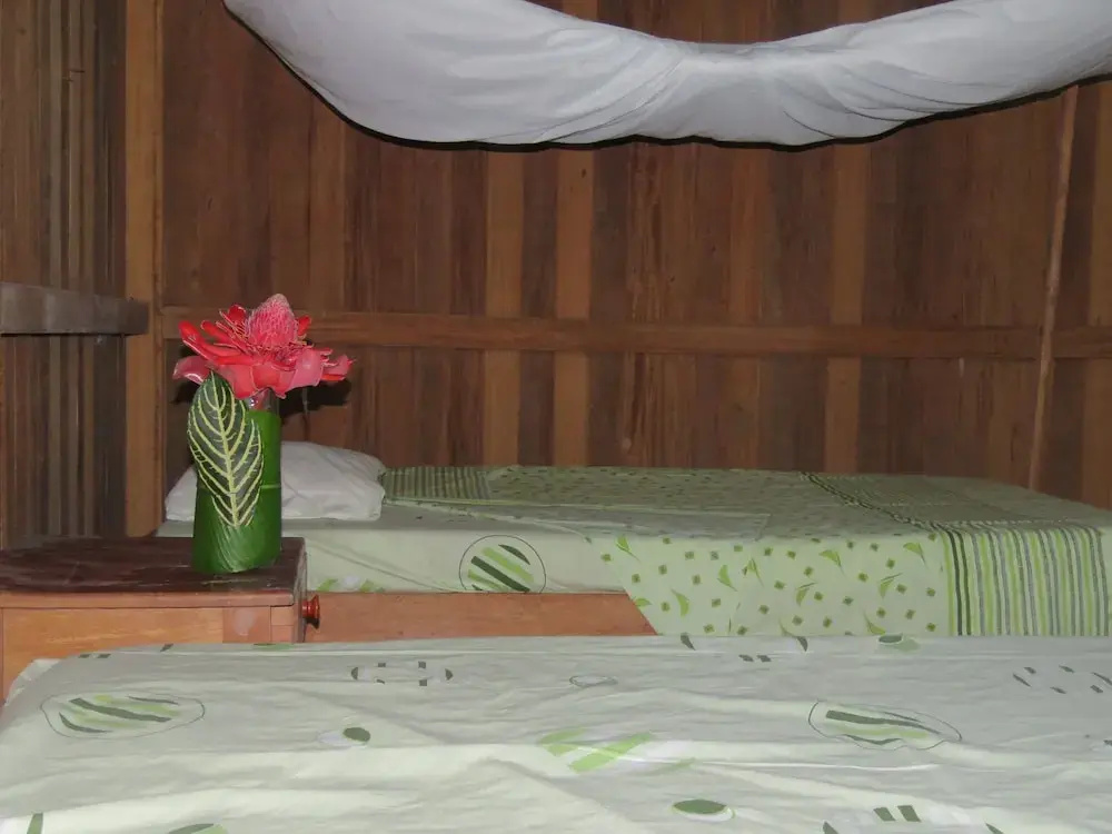Tambopata Guest House