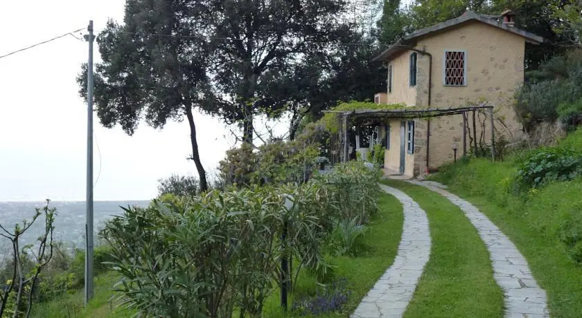 Rustico Leccio