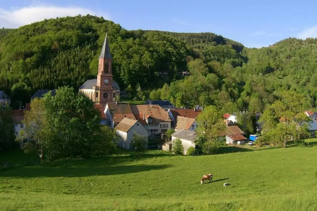 le bonheur est parfois cache dans l'inconnu II Le bonhomme
