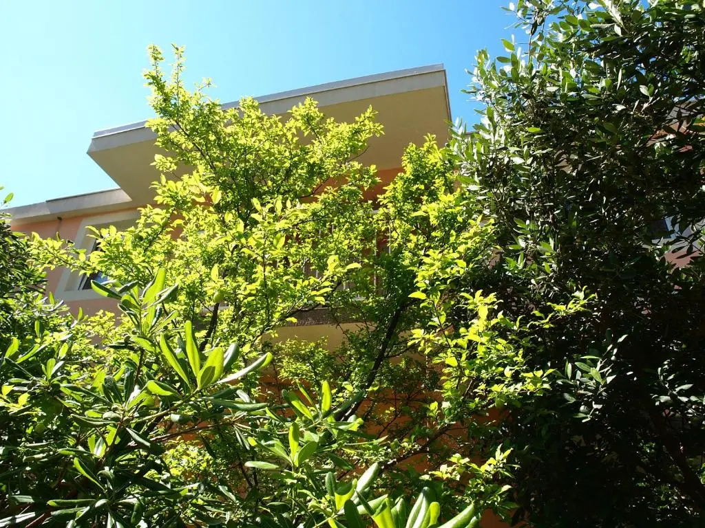 Apartmani Isabella