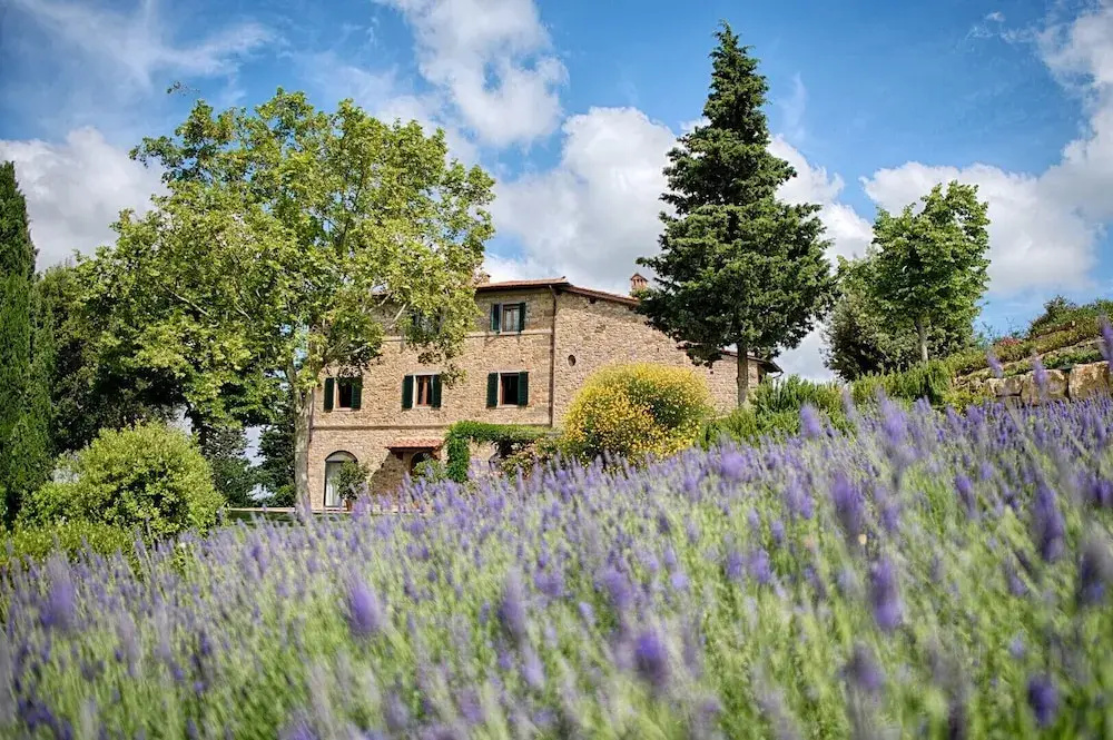 Luxury Chianti in Olive