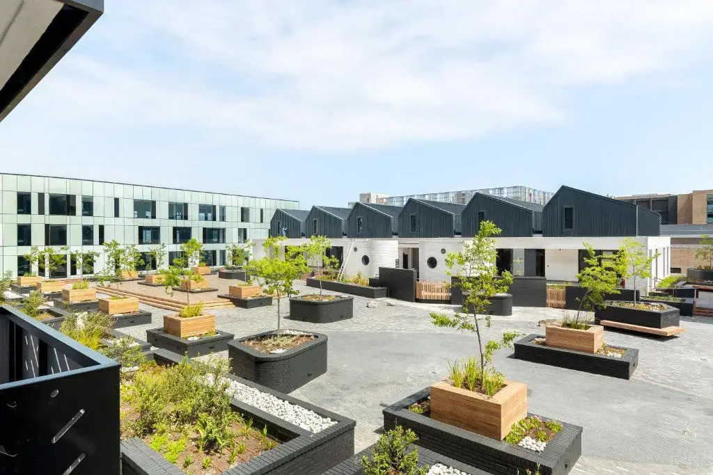 Bridgewater Studio 204