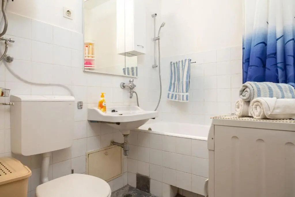 Apartment Anica