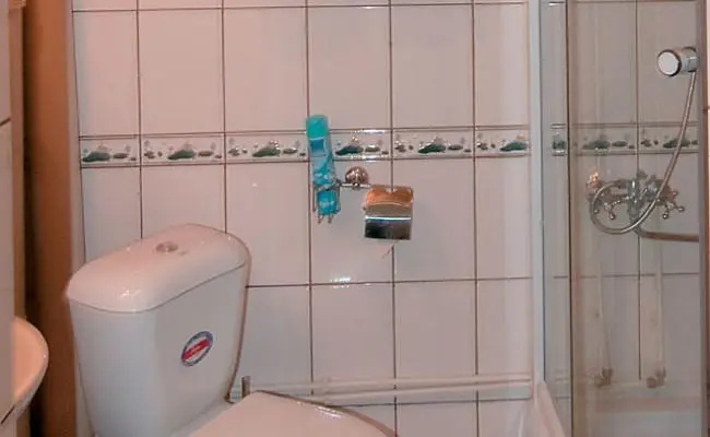 Вега Плюс