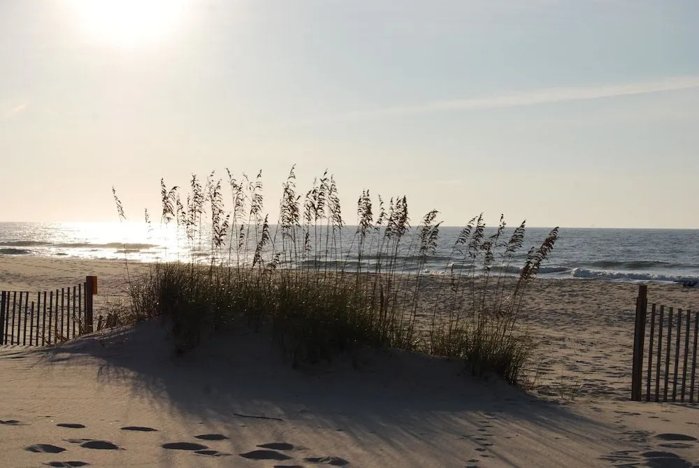 Dunes 502