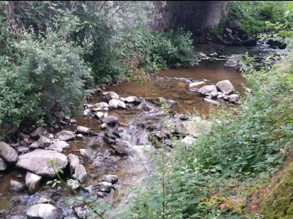 Hôtel des Voyageurs