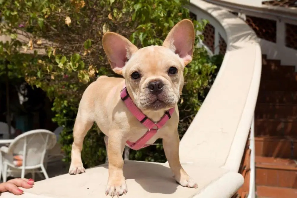 Granada Inn
