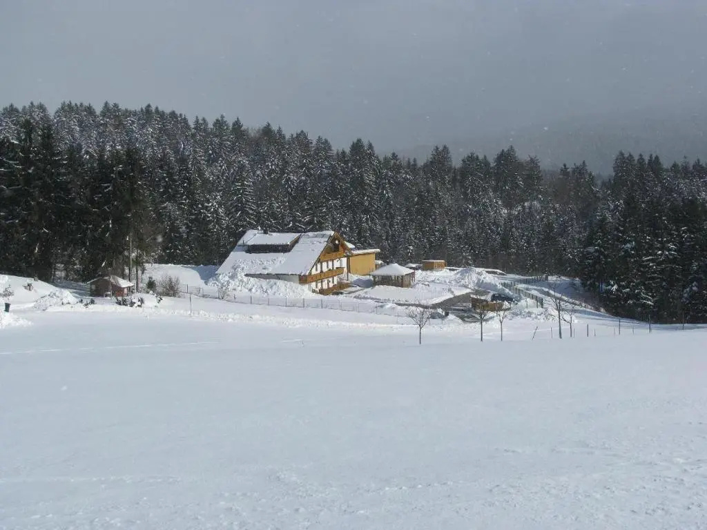 Klausgupf