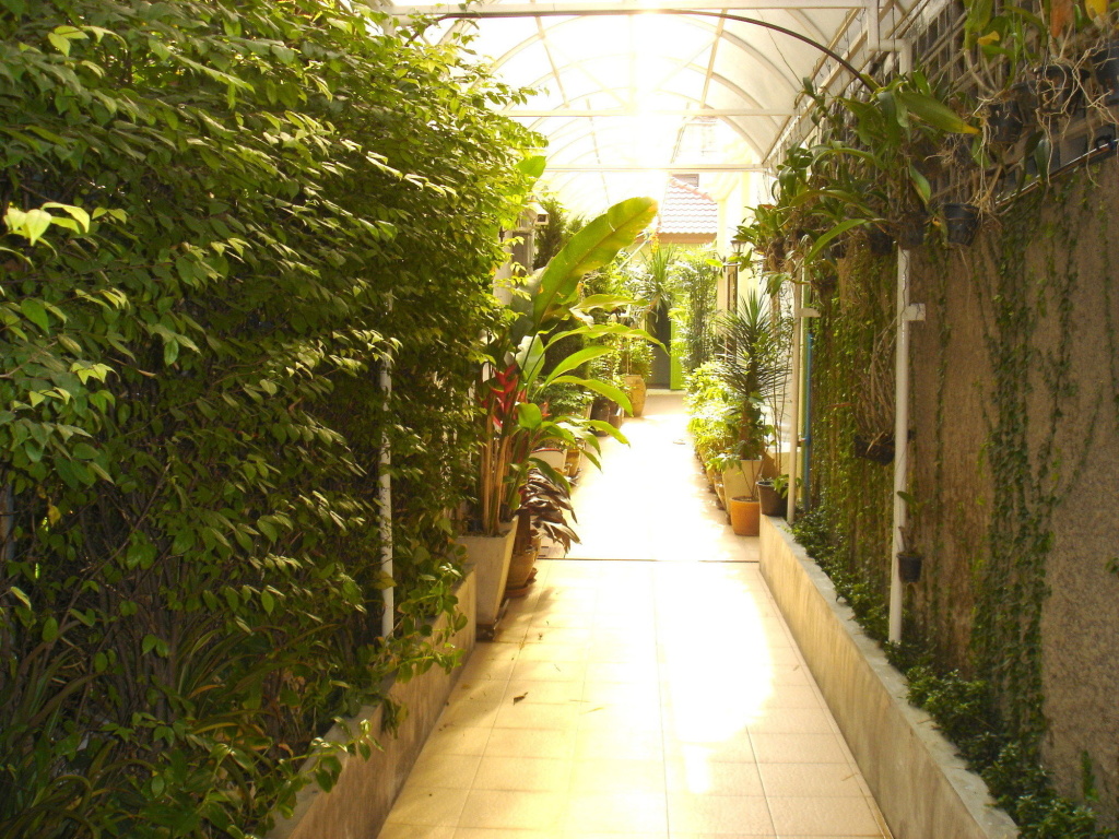 The Bang Khun Phrom Suites