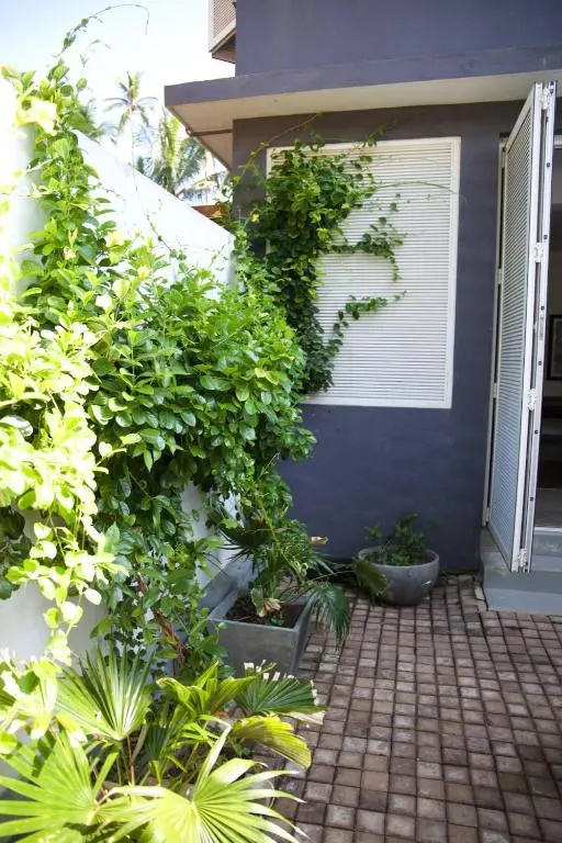 Surf Bay House