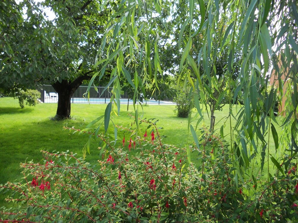 Au Paradis Vert