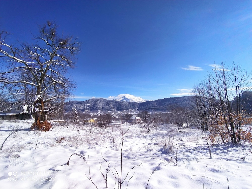 Torrhebia Dag Evi