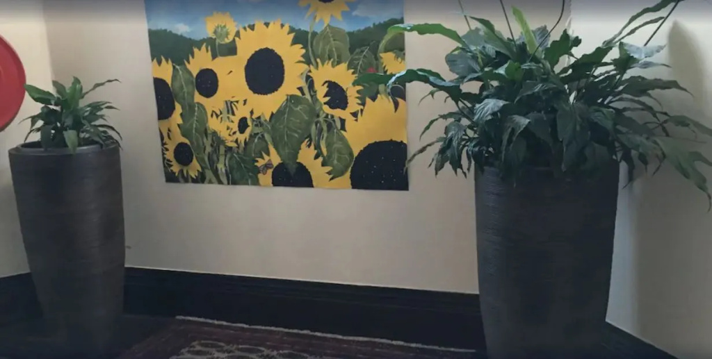 City Garden Lodge