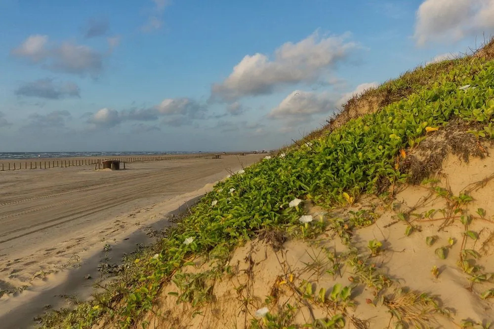 3BR 2BA 1.5 Blocks to Beach by RedAwning