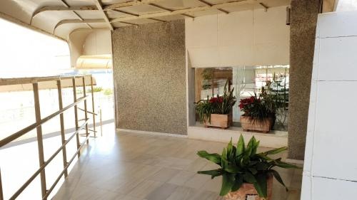 Cachirulo - Fincas Arena