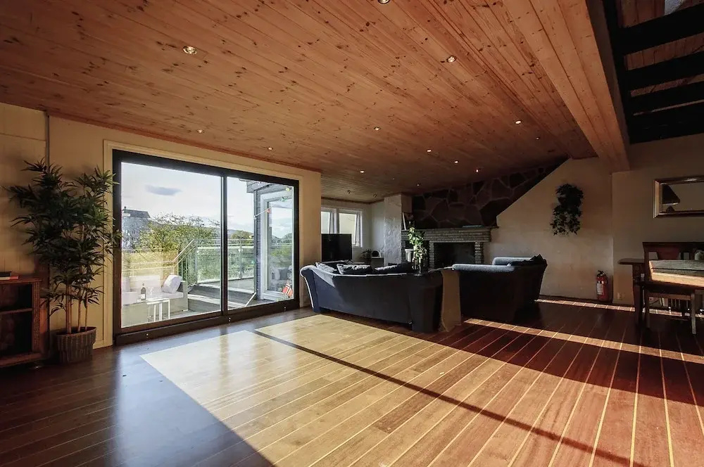Penthouse Apartment