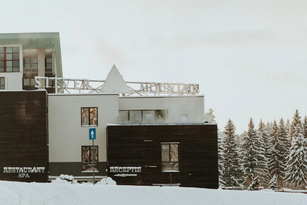 Silver Pine Apartment