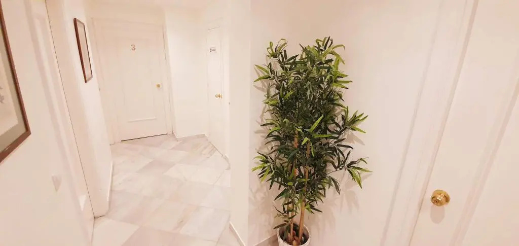 Fan Rooms Duquesa