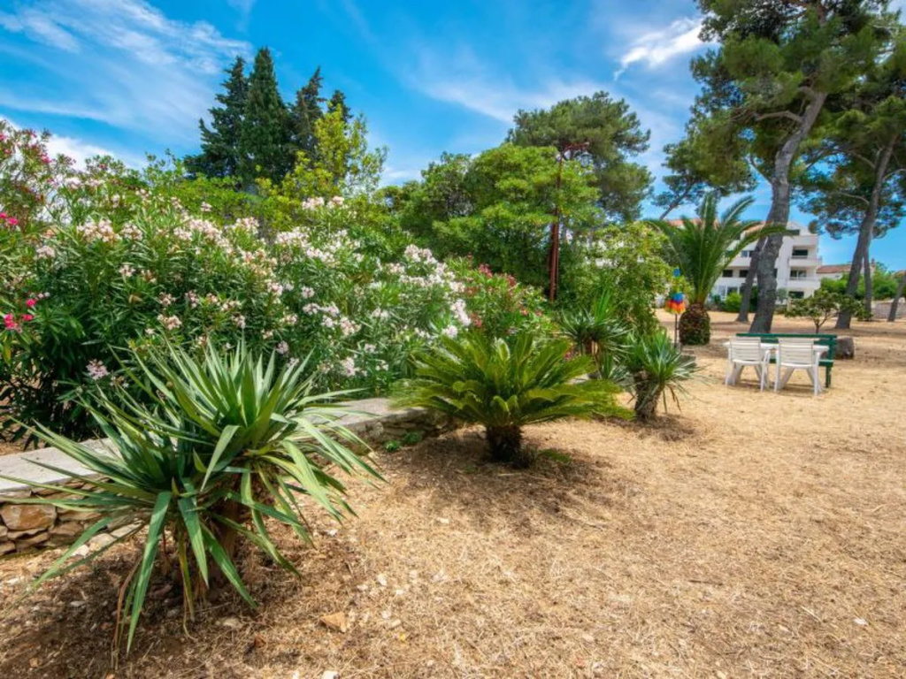 Apartment Mirta Castiglioncello 16802