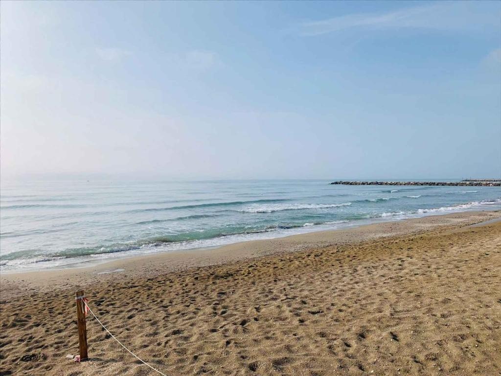 Apartment in Eraclea Mare 40761
