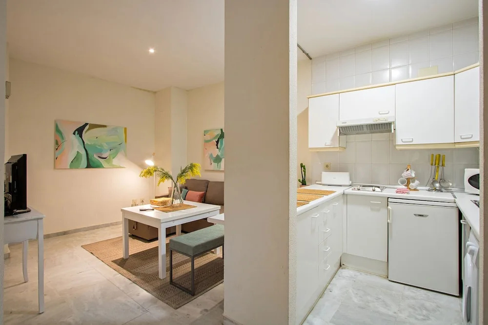 Apartamento San Vicente Central