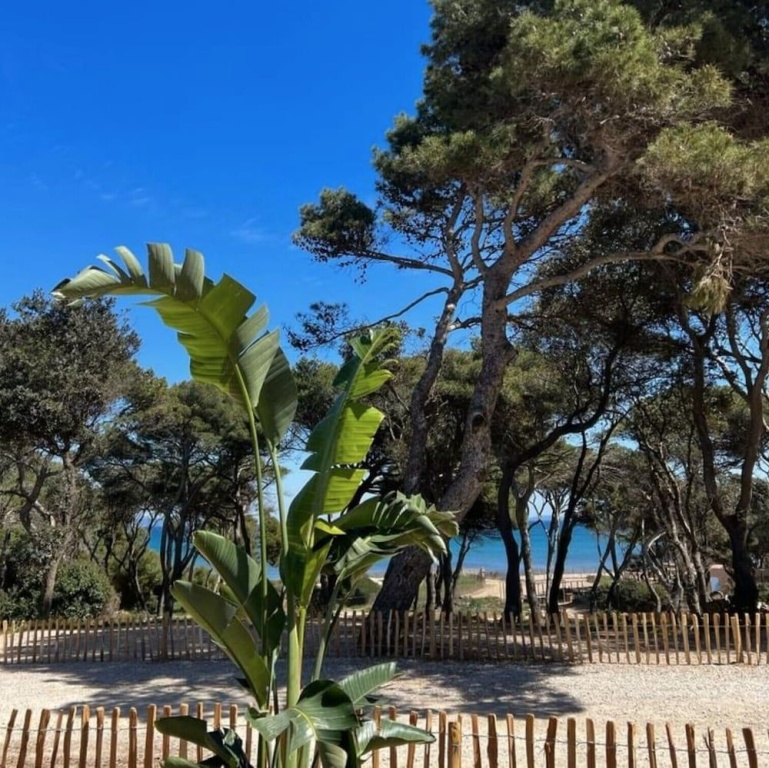 Le Domaine de la mer - Appartements de plage dans un cadre enchanteur