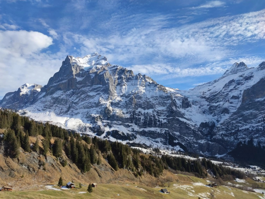 Chalet Pfyffer - Mountain view