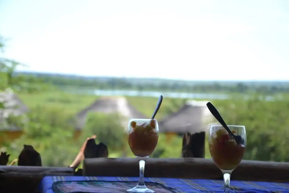 Twiga Tales Safari