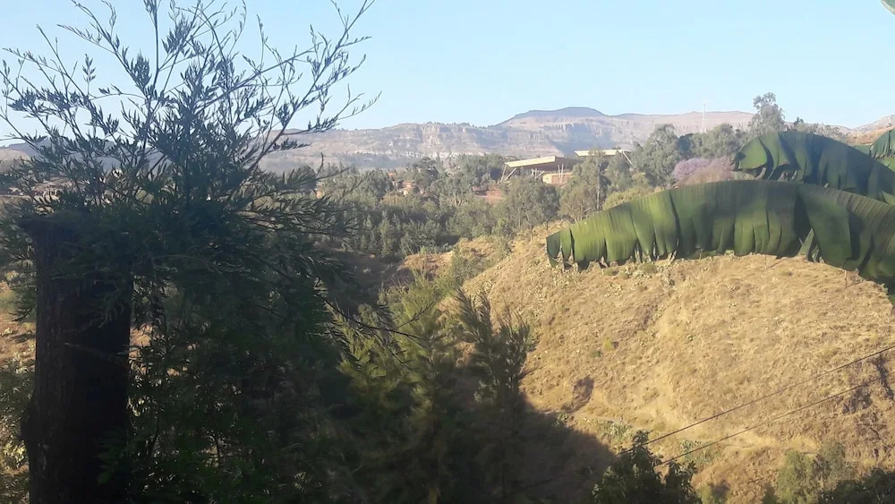 Budget Ethiopia Tours and Homestay
