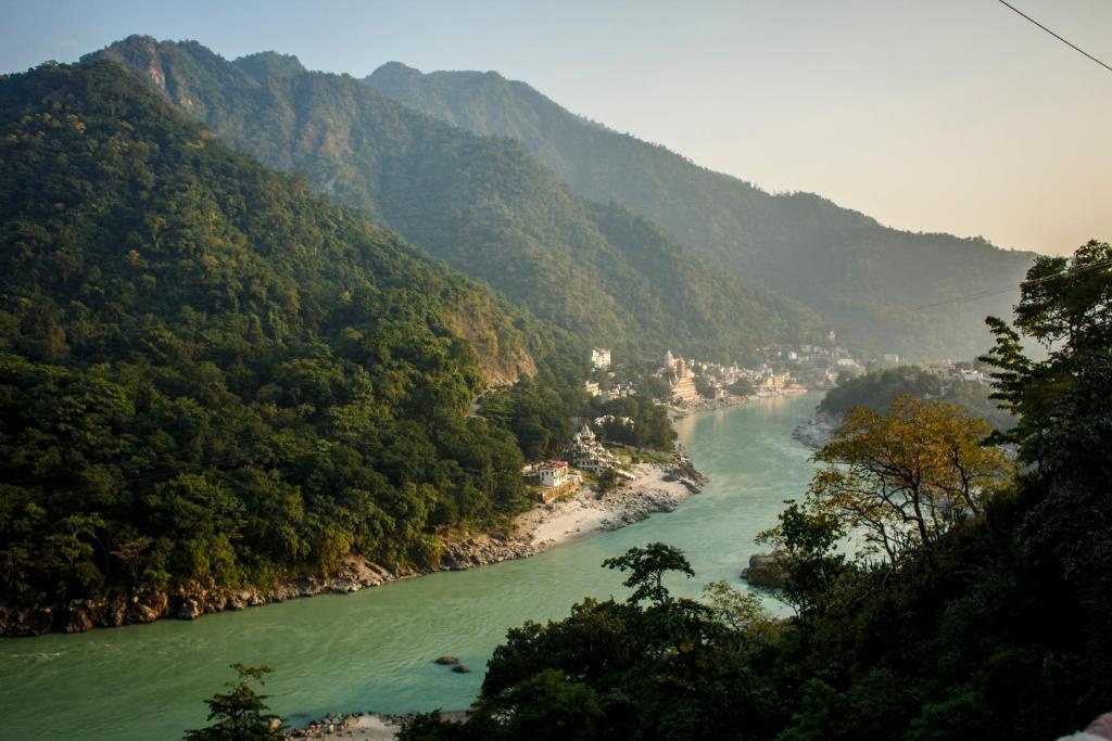 Backpacker Panda Rishikesh