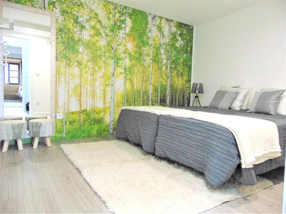 House With 3 Bedrooms in Salzedas, With Wonderful Mountain View and Furnished Garden Near the Beach