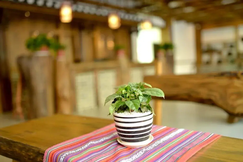 Youshui Impression Inn