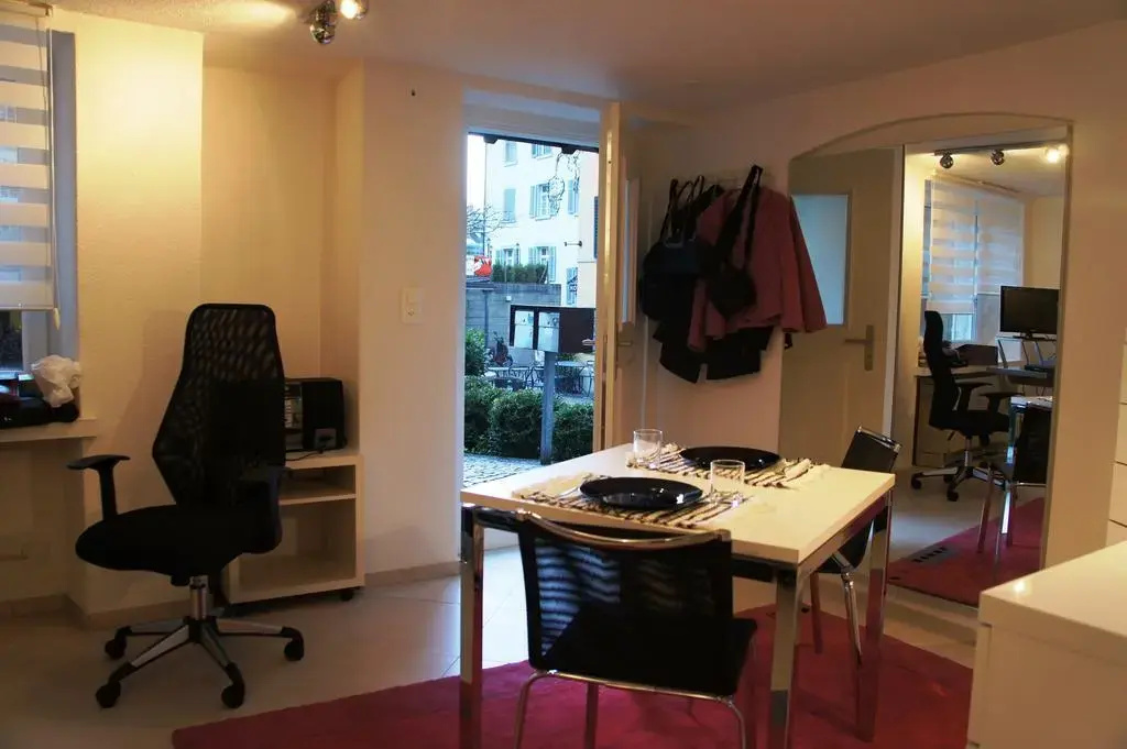 Studio-Appartment Horgen