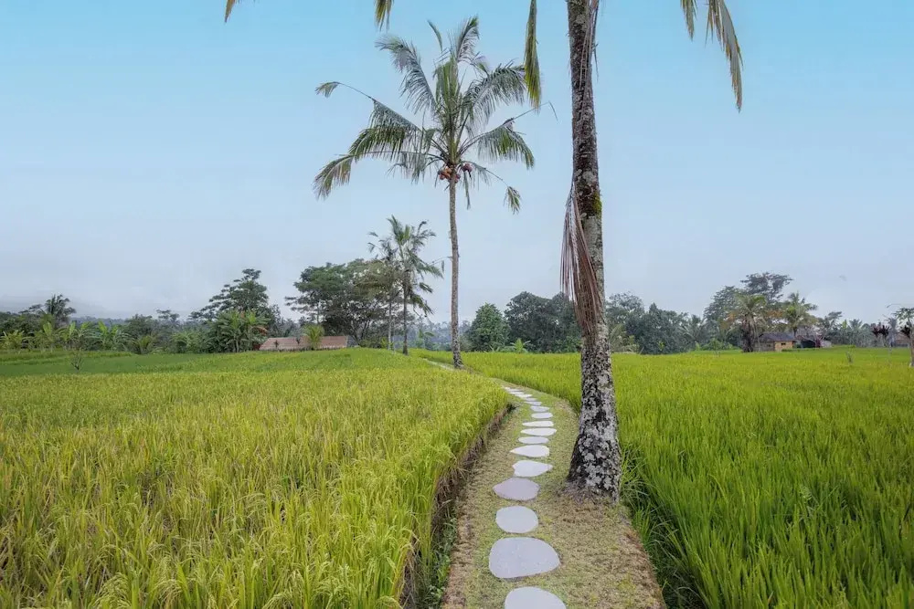 Sebatu Hill Cottage by Great Bali Villas