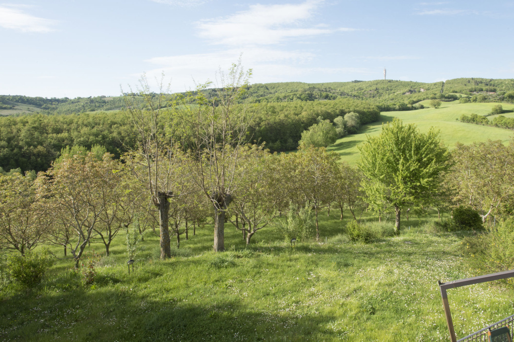 La Vittoria 10 – La Soglia della Val d’Orcia