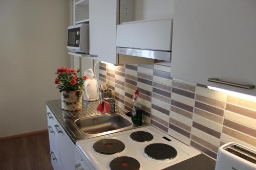 Hotel Aakenus Holiday Home Kokki