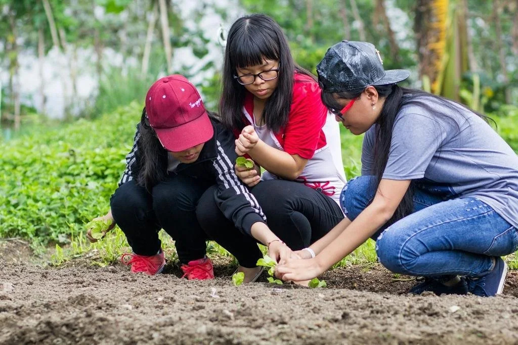 HỒ MÂY PARK Vũng Tàu Khách Sạn - Resort