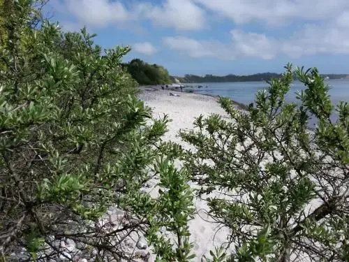 Ferienwohnungen Rügen Findling Breege