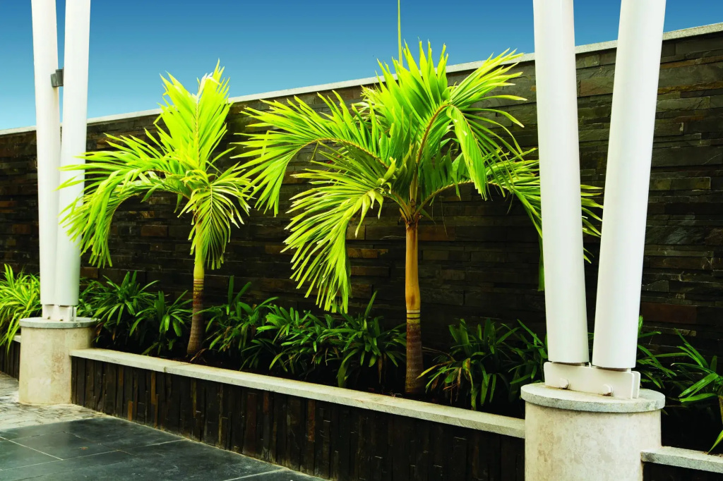 Urvashi Residency