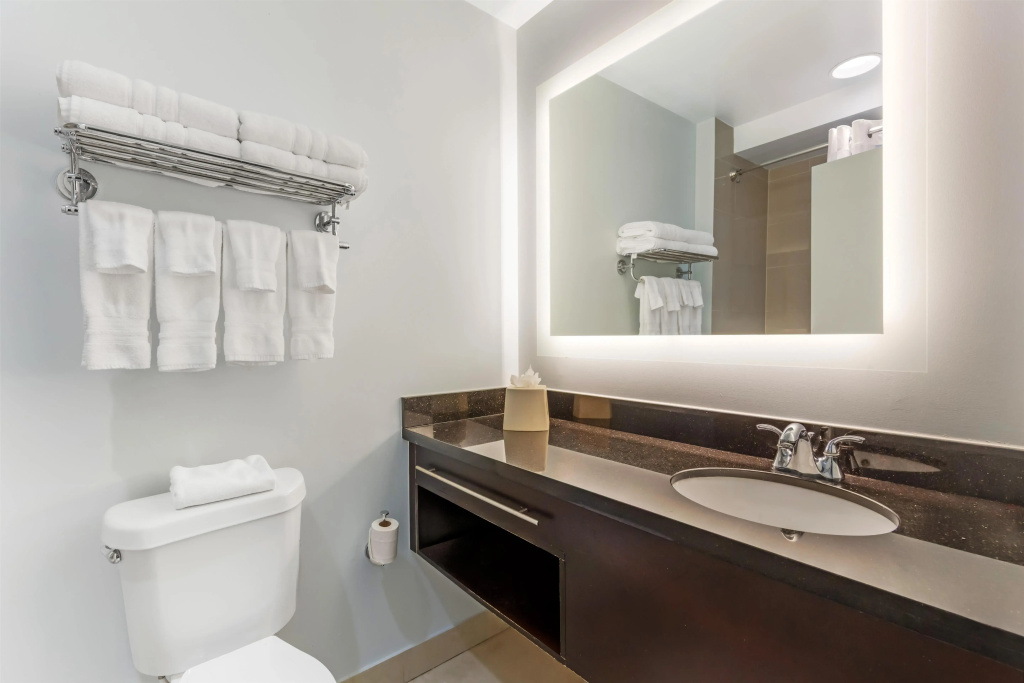 Best Western Plus Miami Airport North Hotel & Suites