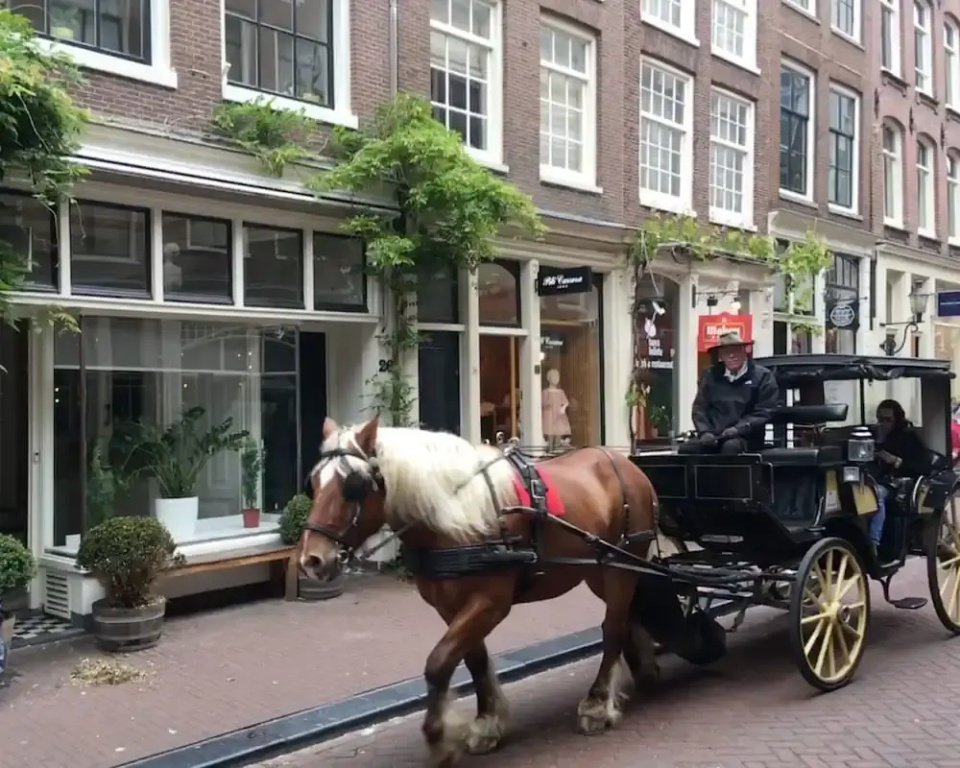 Amsterdam Barangay
