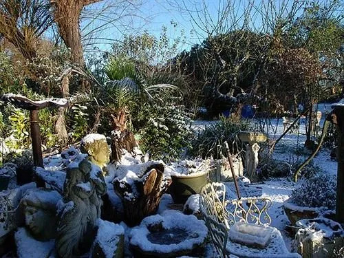 Priory House B&B And The Oriental Brewhouse Self Catering Accommodation
