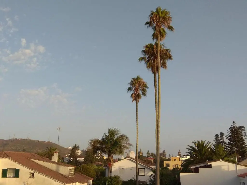 San Diego 22