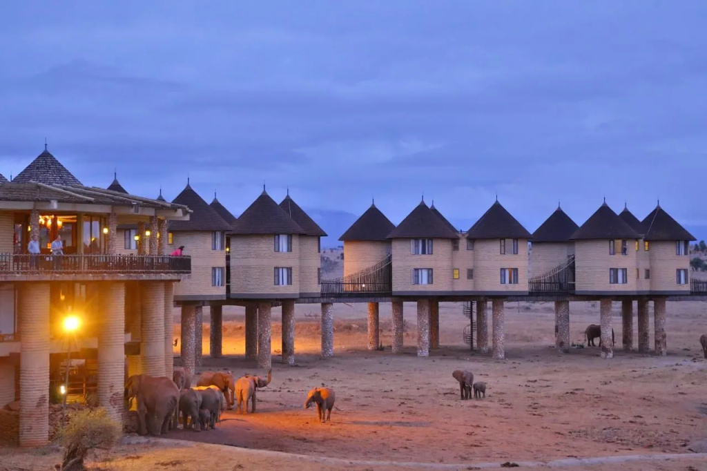 Salt Lick Safari Lodge