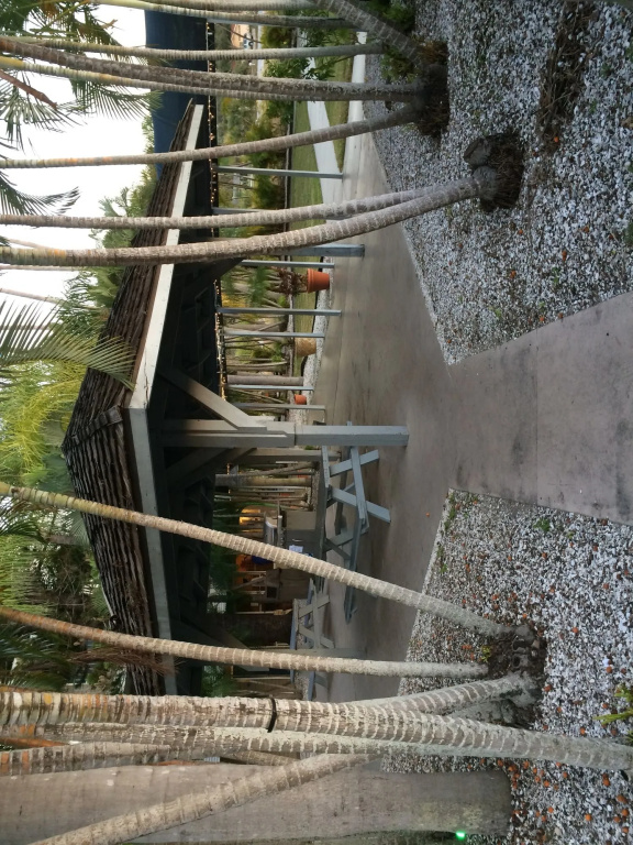 Lantern Inn & Suites - Sarasota