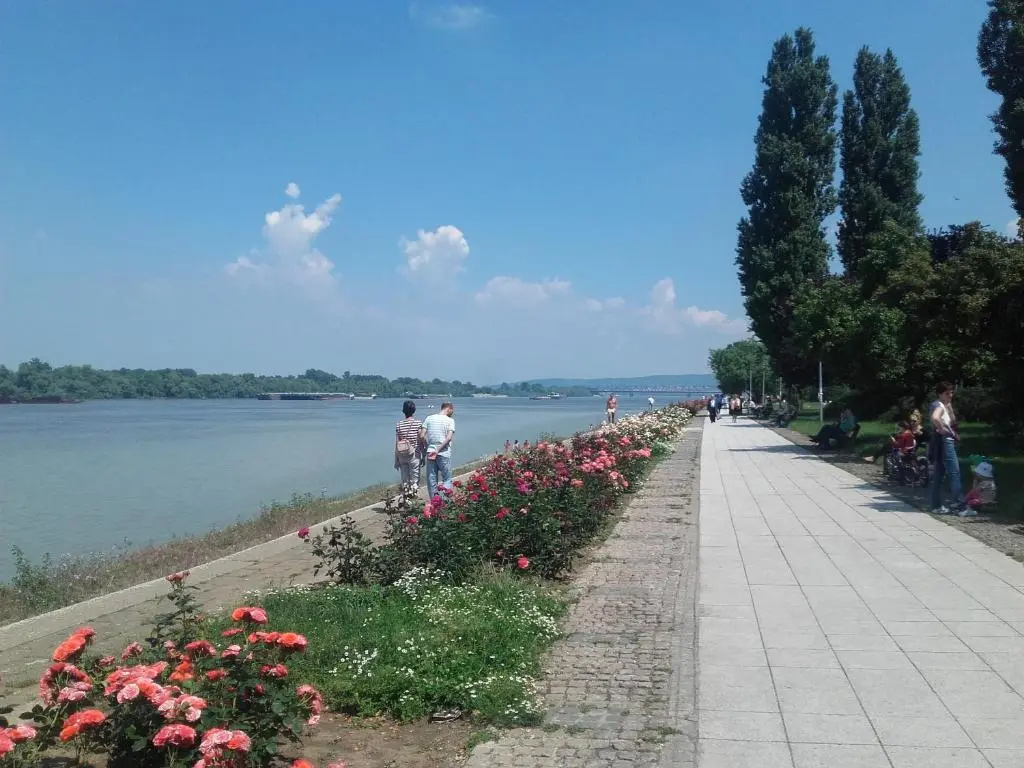 Danube Apartment