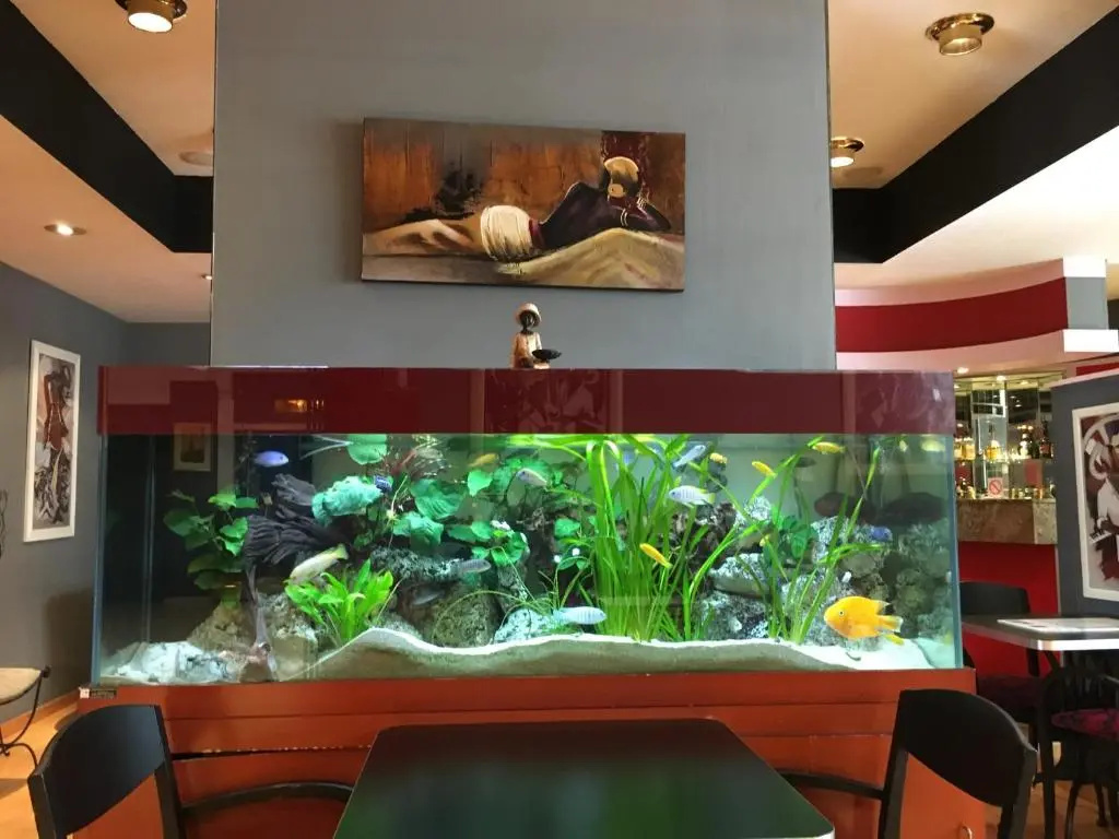 Отель First Euroflat