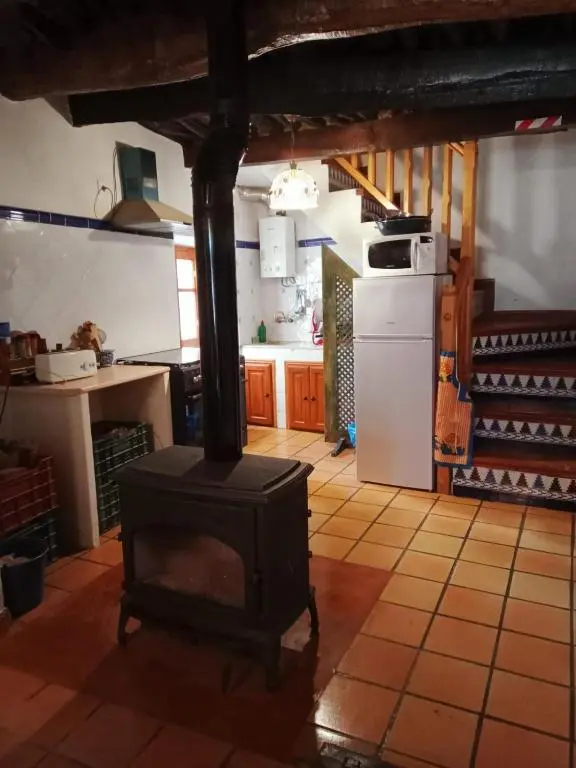 Castaño Real