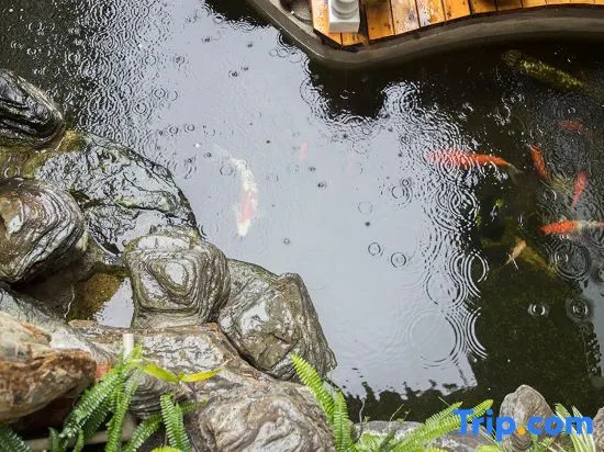 Tengchong Fengchengyuan Holiday Homestay (Heshun Ancient Town Branch)