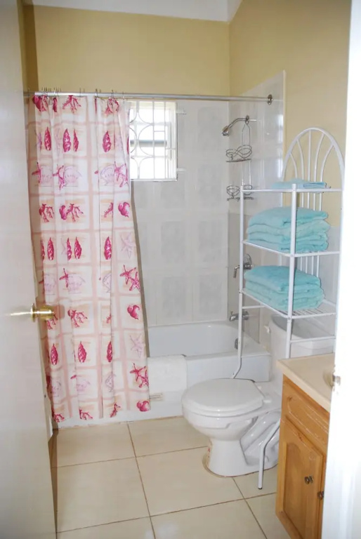 St Mary Mins Away From Ocho Rios 2 bed Ocean View Villa
